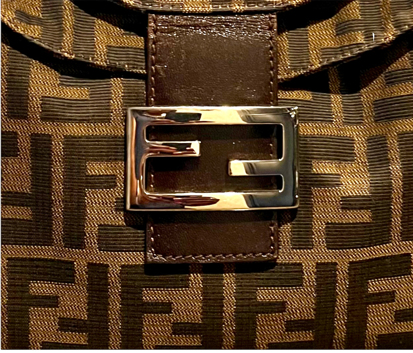 Fendi Zucca Bag